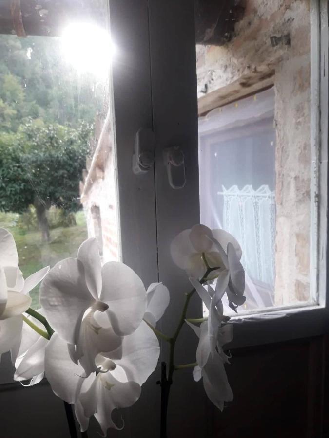 לינה וארוחת בוקר Montefortino Il Giardino Dei Sogni מראה חיצוני תמונה